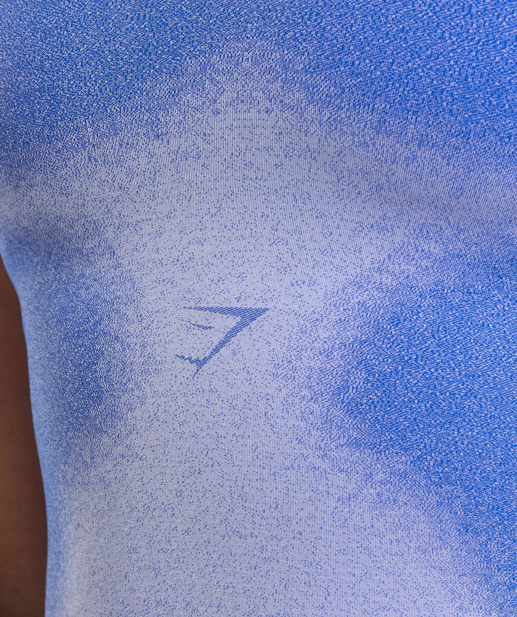 Gymshark Blur Seamless T-Shirt - Iris Blue/Powdered Lilac